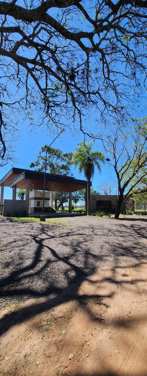 WhatsApp Image 2024-08-27 at 8.57.52 AM (3).webp