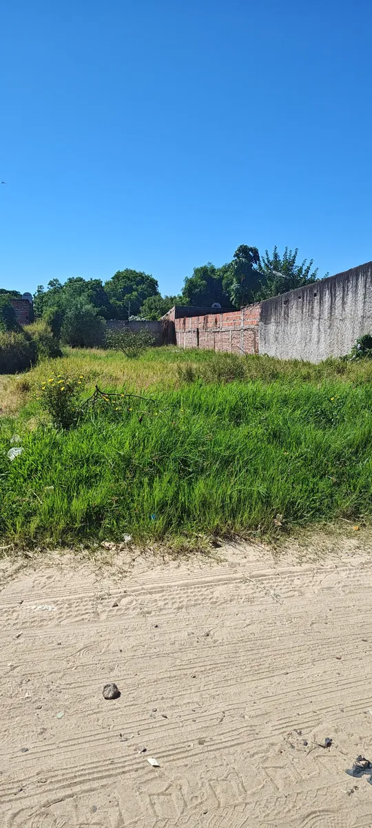 WhatsApp Image 2025-03-14 at 9.51.56 AM.webp