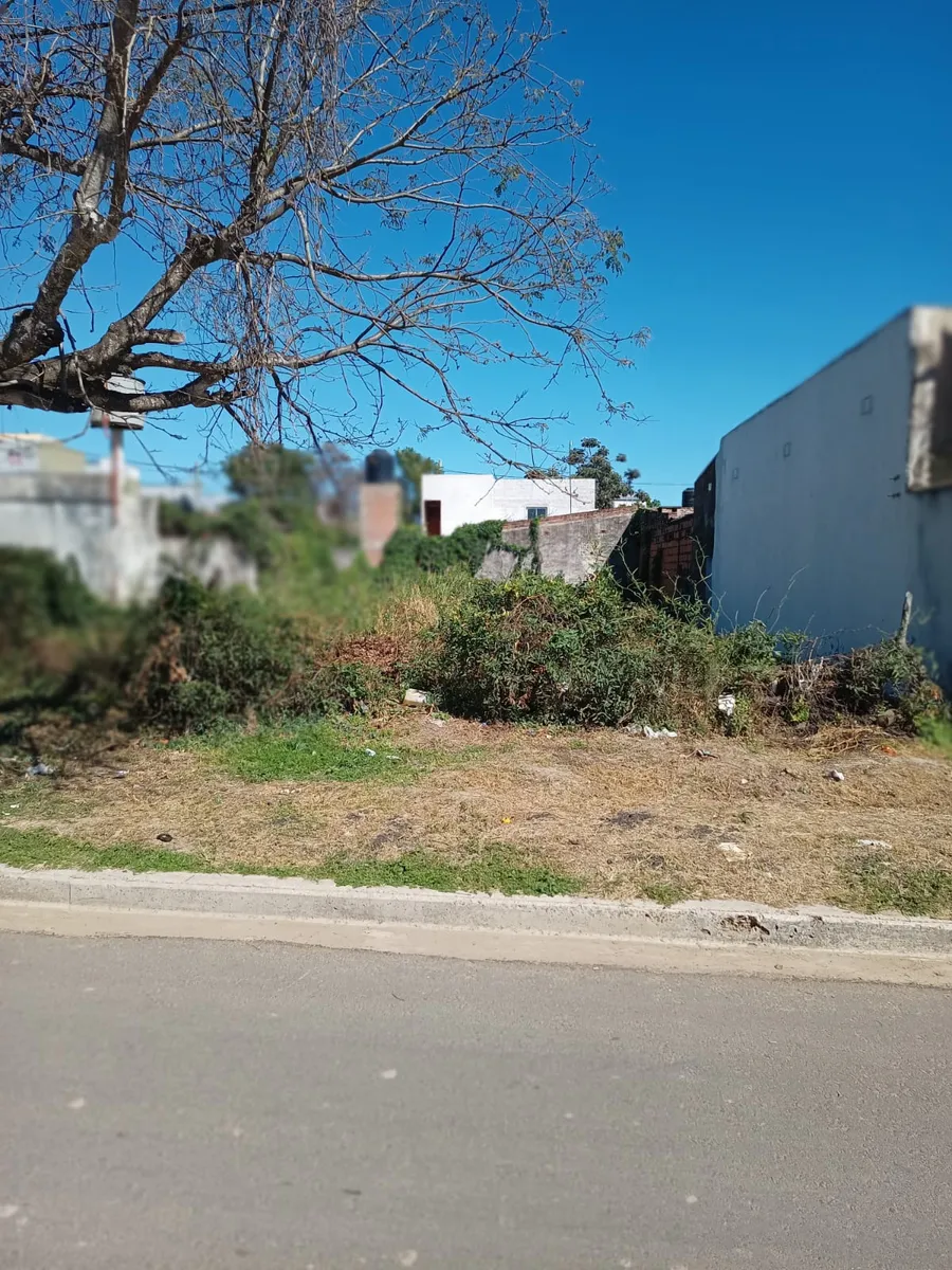 WhatsApp Image 2024-08-28 at 11.42.00 AM (1).webp