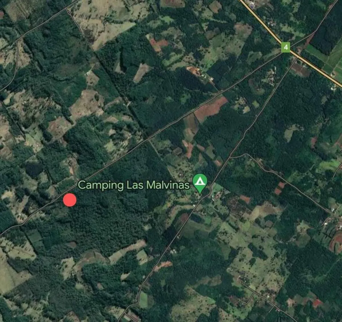 WhatsApp Image 2025-03-25 at 4.05.10 PM.webp