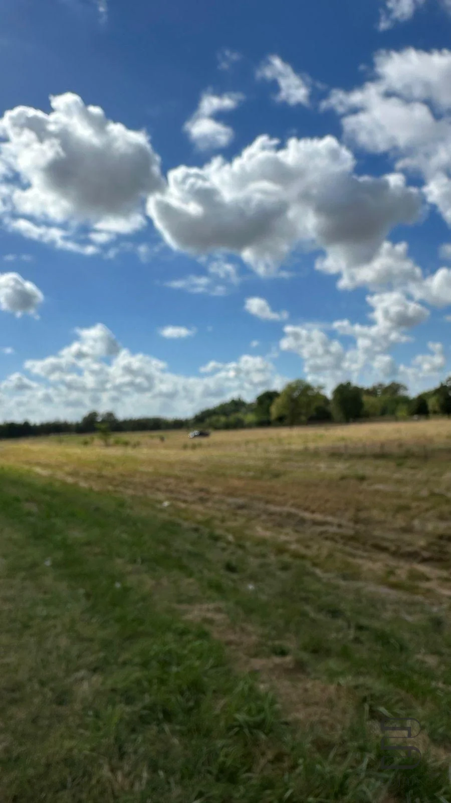 BLA7857244-2.webp