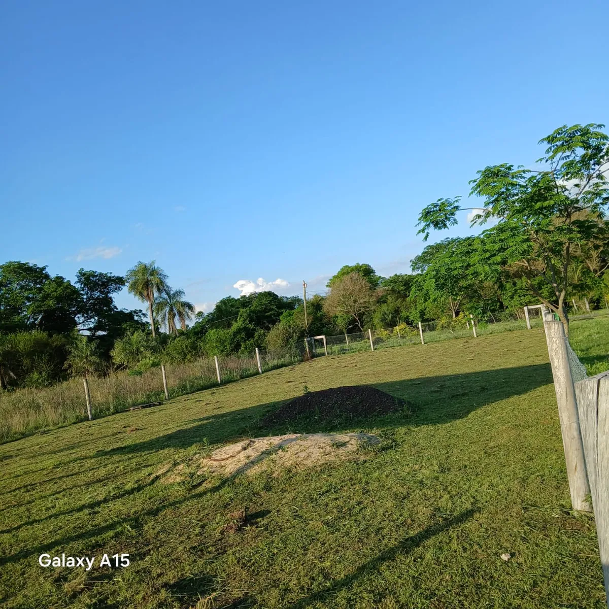 WhatsApp Image 2025-11-28 at 12.53.09 (3).webp