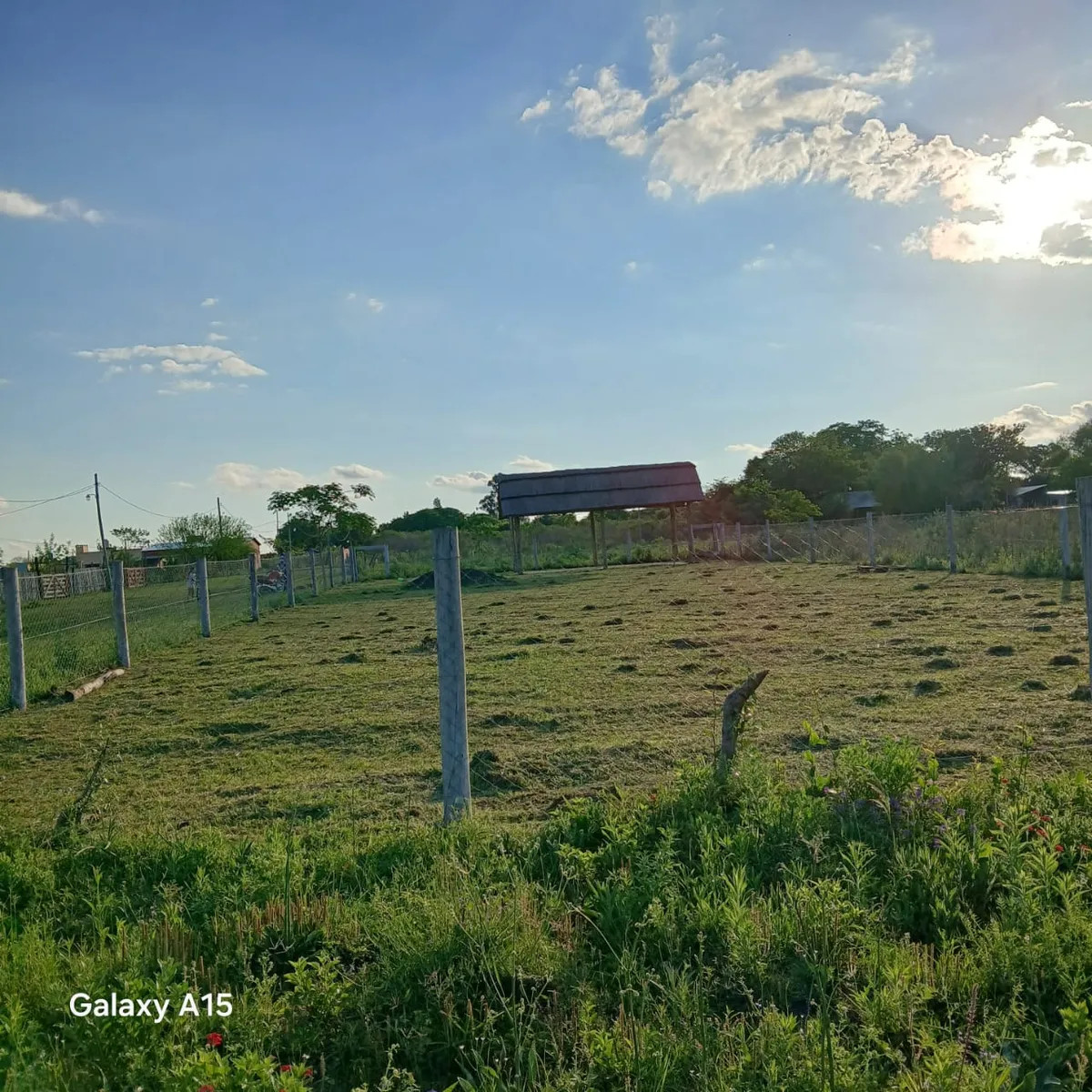 WhatsApp Image 2025-11-28 at 12.53.08 (1).webp