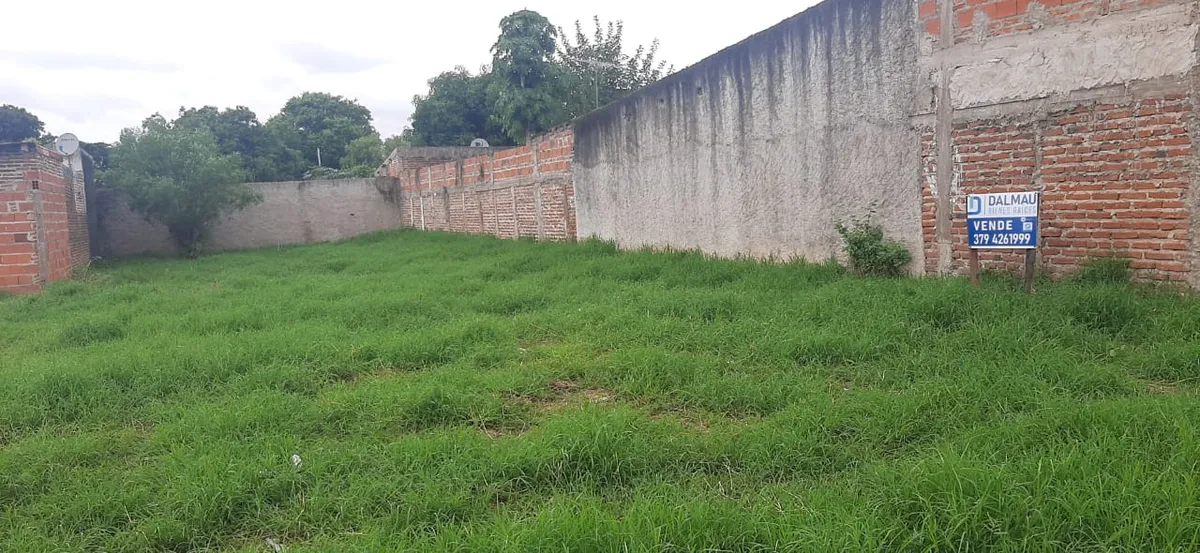 WhatsApp Image 2025-04-08 at 2.29.03 PM (1).webp