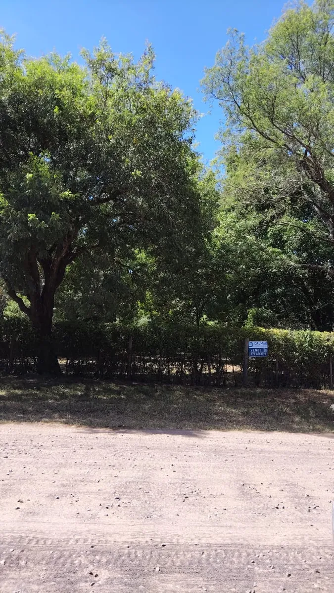 WhatsApp Image 2025-03-21 at 10.55.48 AM (1).webp