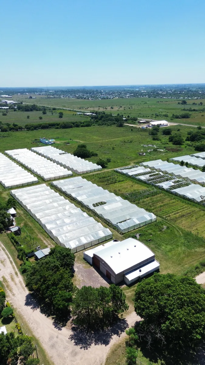 WhatsApp Image 2026-01-30 at 11.02.05 (4).webp