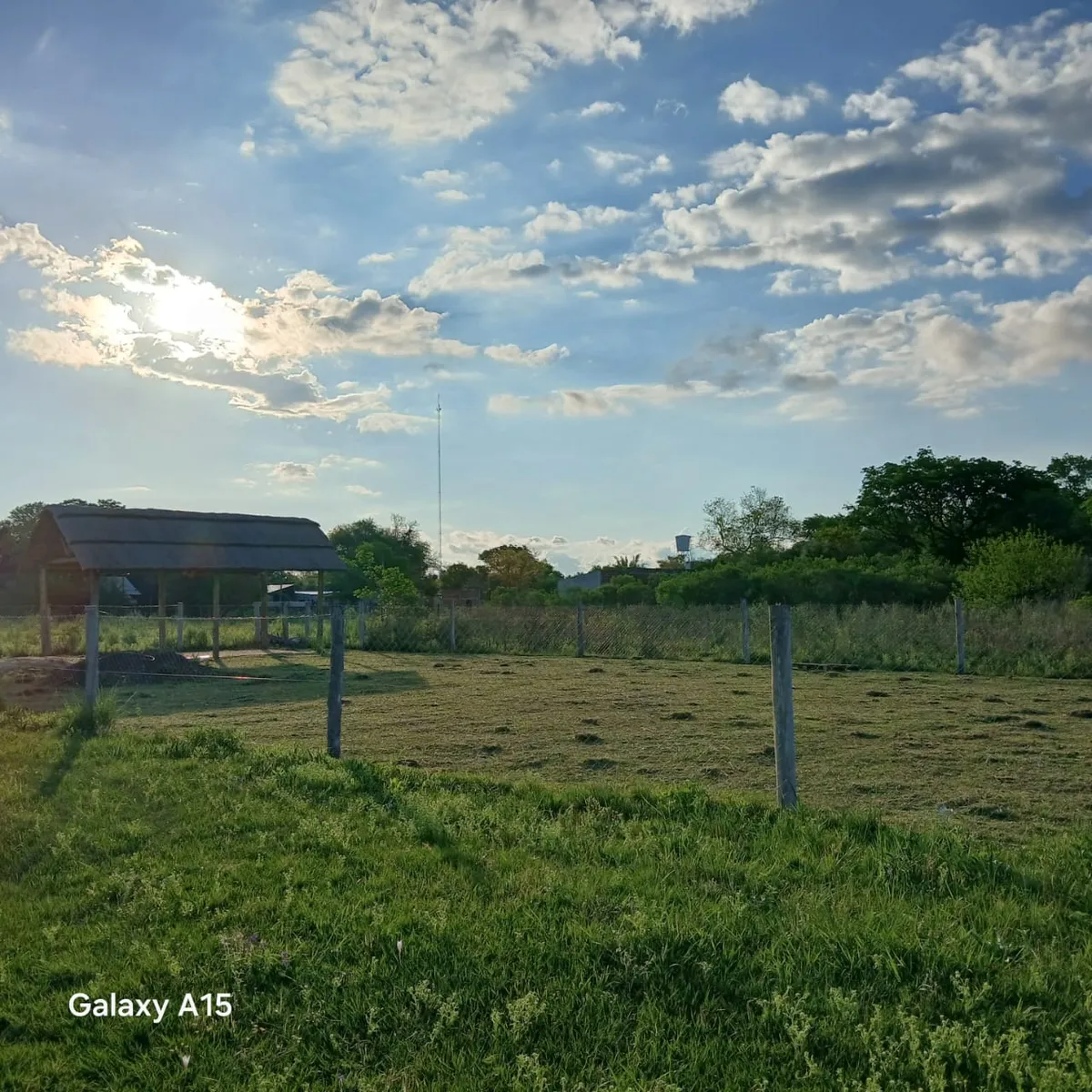 WhatsApp Image 2025-11-28 at 12.53.09 (1).webp