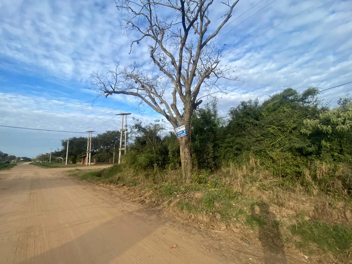 WhatsApp Image 2024-11-19 at 11.18.02 AM.webp