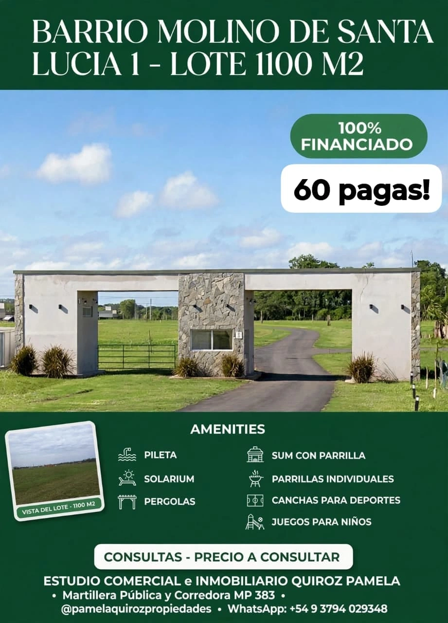 247323.webp