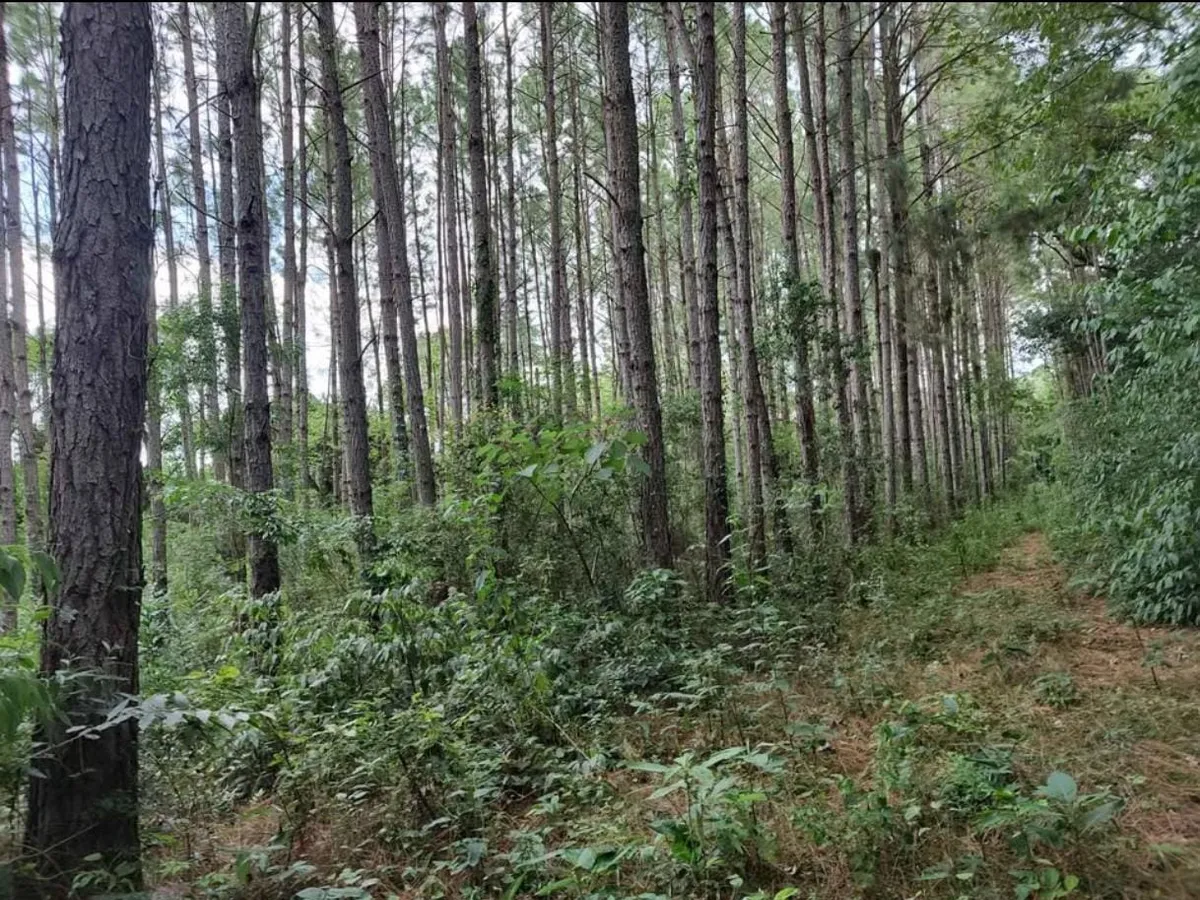 WhatsApp Image 2025-03-25 at 4.05.09 PM (1).webp