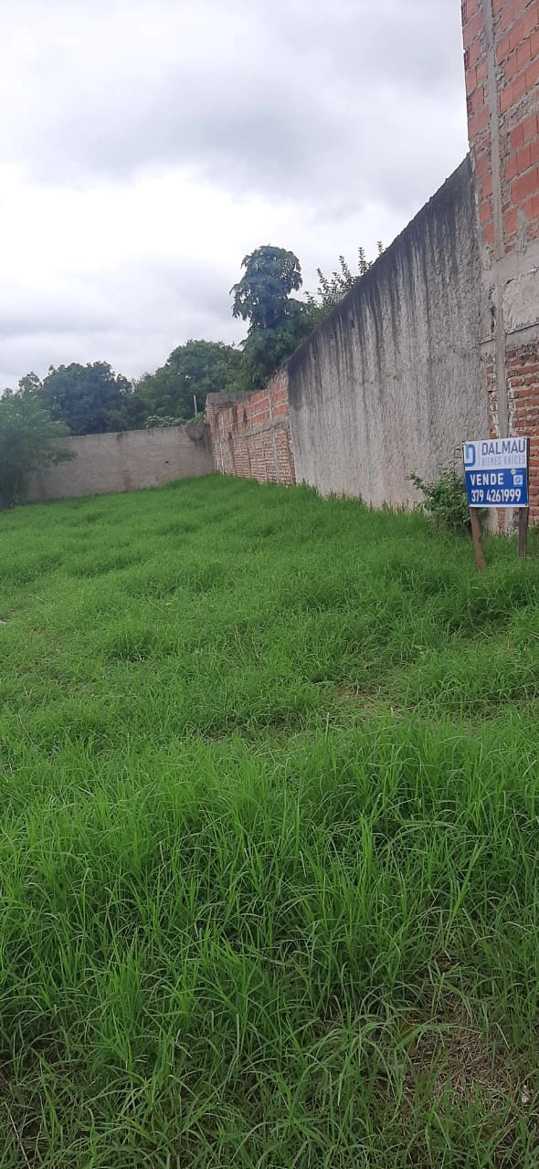 WhatsApp Image 2025-04-08 at 2.29.03 PM.webp