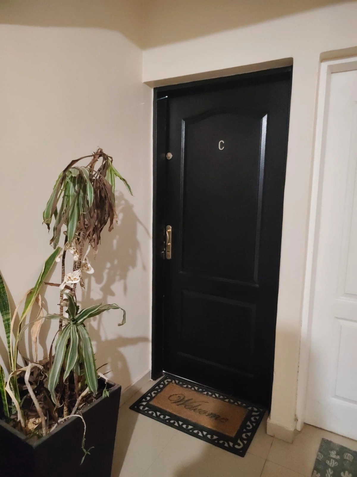 WhatsApp Image 2026-04-09 at 19.06.40.webp