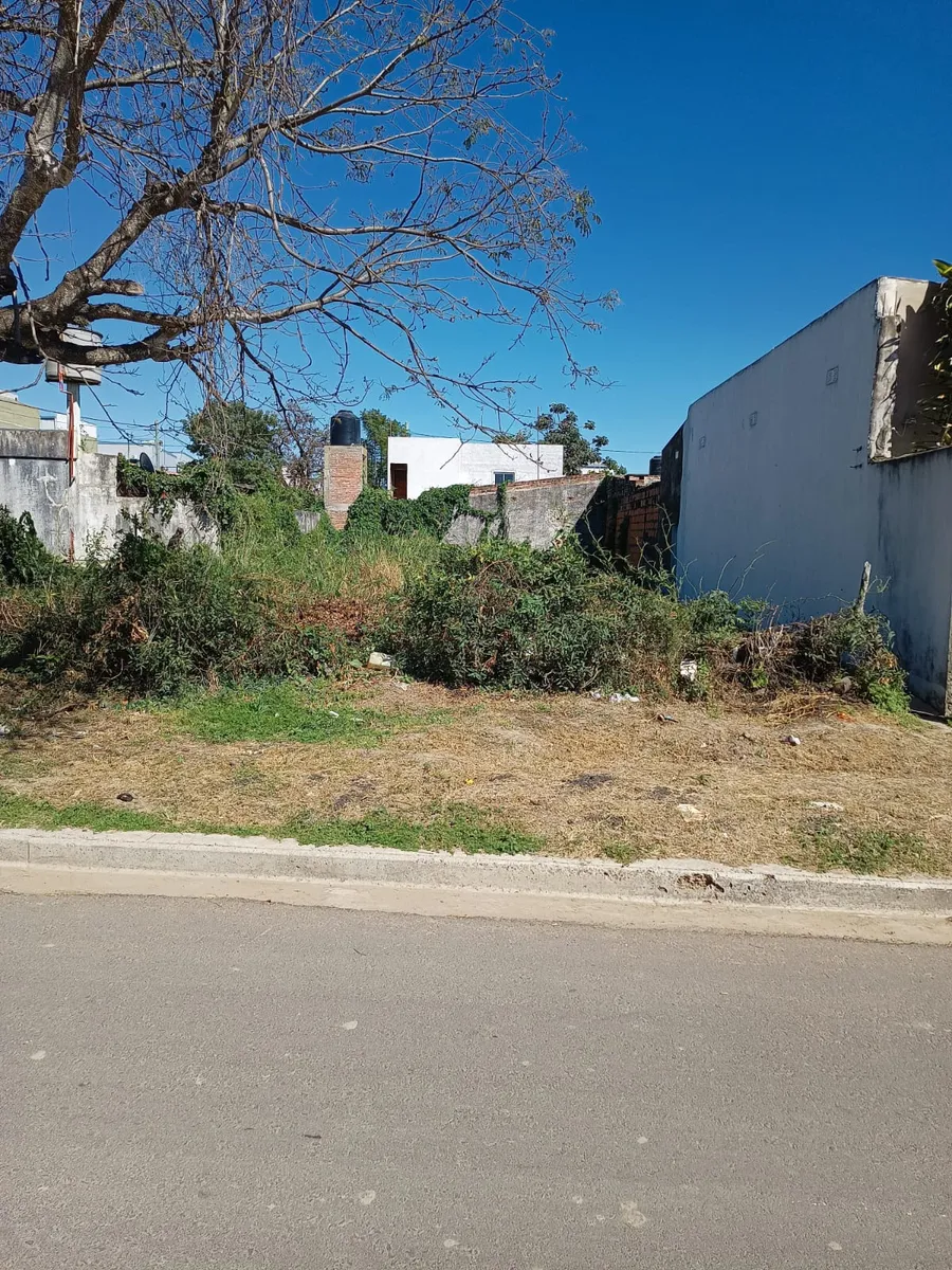 WhatsApp Image 2024-08-28 at 11.42.00 AM.webp