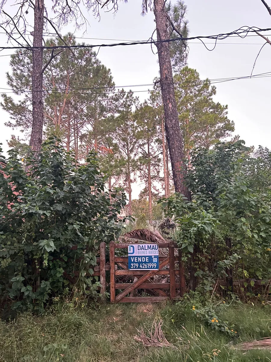 WhatsApp Image 2026-03-19 at 11.34.56 AM.webp