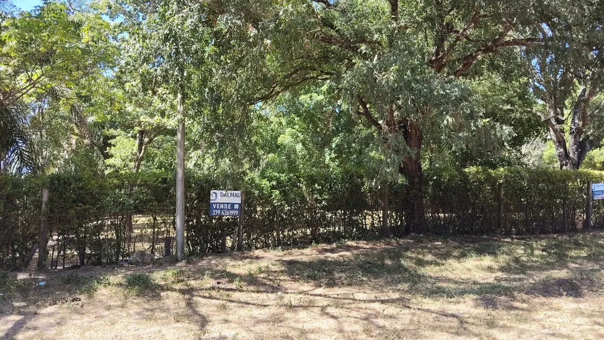 WhatsApp Image 2025-03-21 at 10.55.46 AM.webp