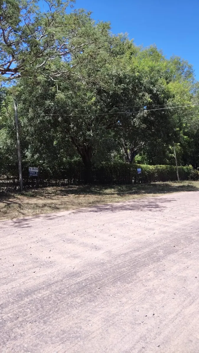 WhatsApp Image 2025-03-21 at 10.55.47 AM (2).webp