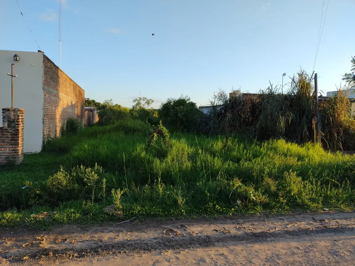 WhatsApp Image 2024-11-07 at 12.21.32 PM.webp