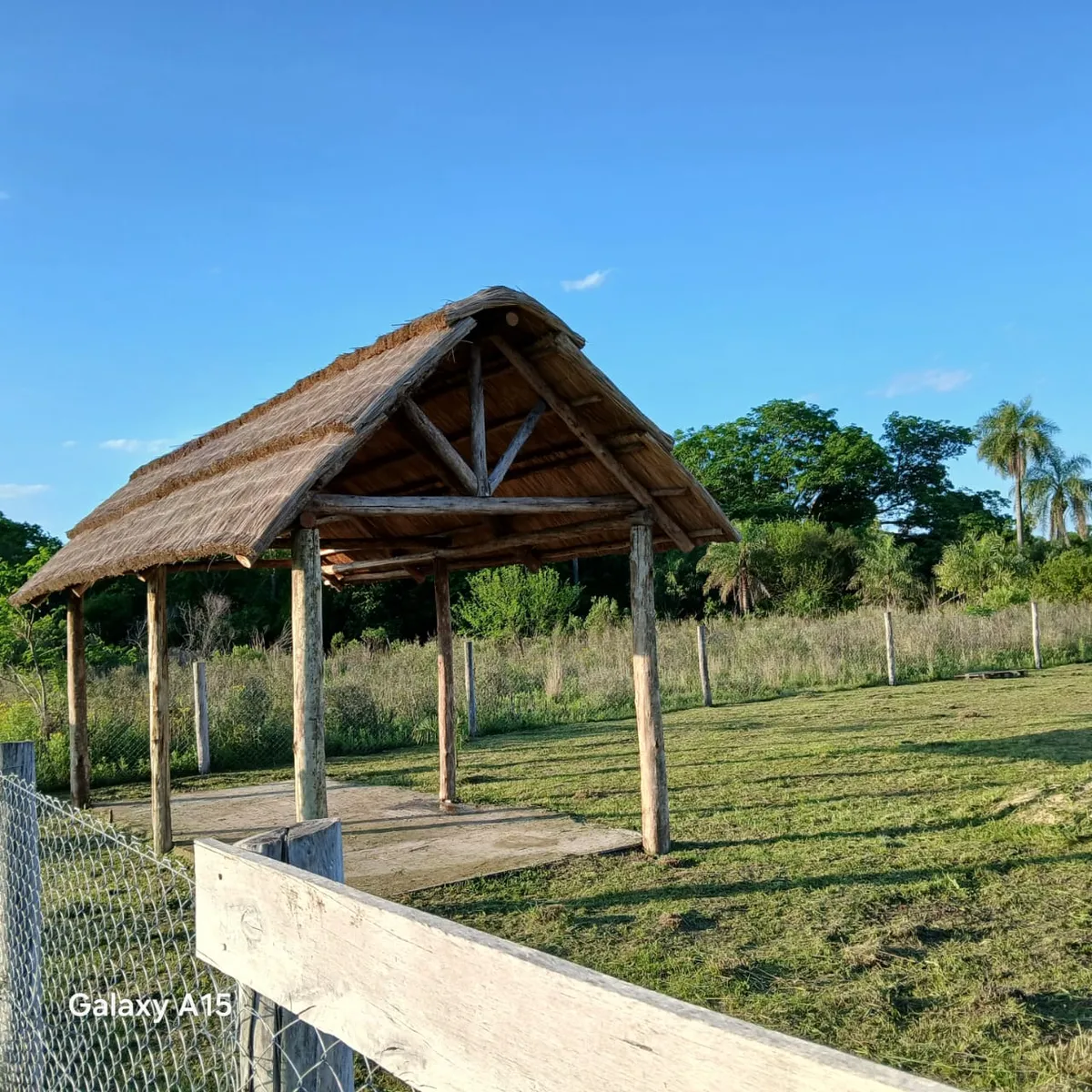 WhatsApp Image 2025-11-28 at 12.53.09 (2).webp