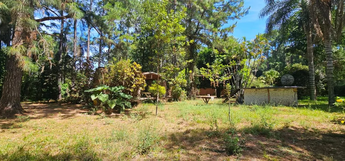 WhatsApp Image 2026-03-13 at 19.21.54.webp