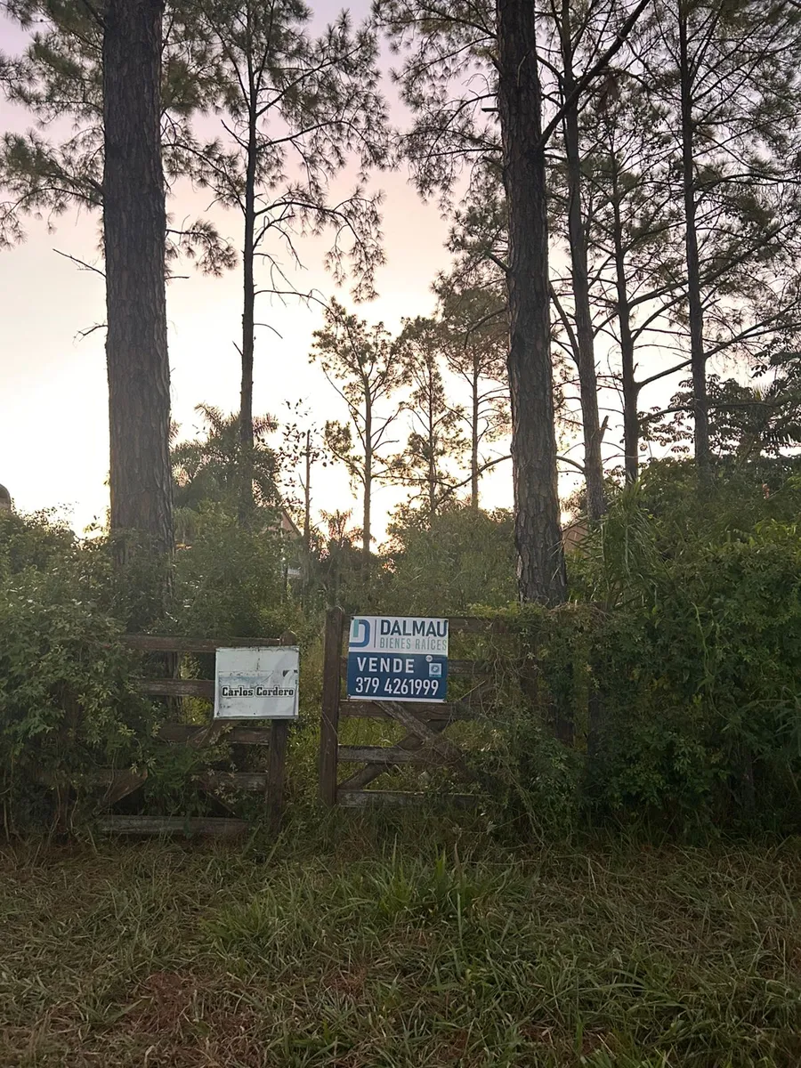 WhatsApp Image 2026-03-19 at 11.34.52 AM.webp