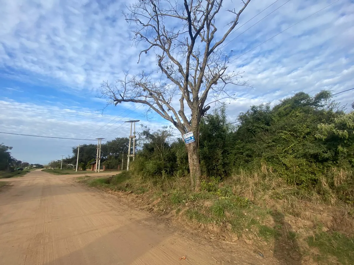 WhatsApp Image 2024-11-19 at 11.18.01 AM (1).webp