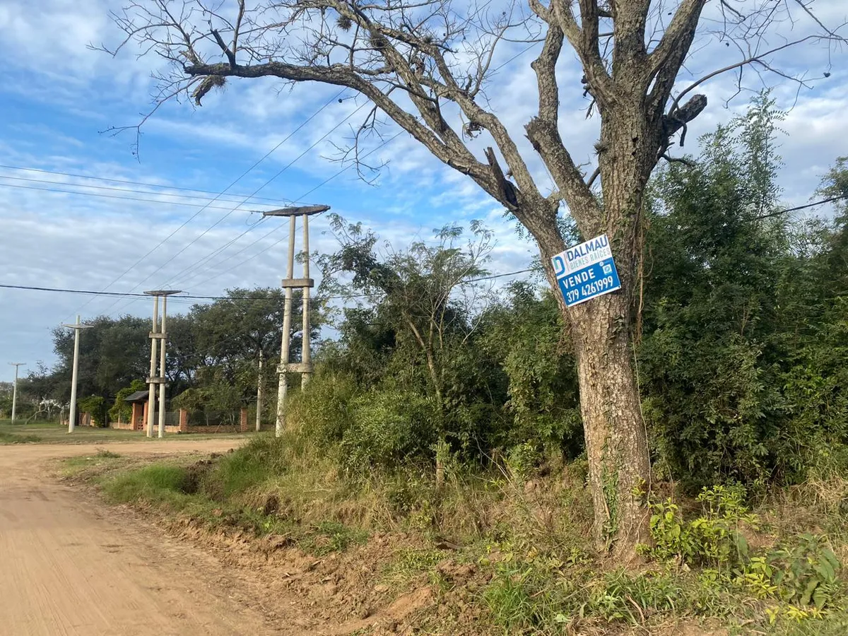 WhatsApp Image 2024-11-19 at 11.18.01 AM.webp