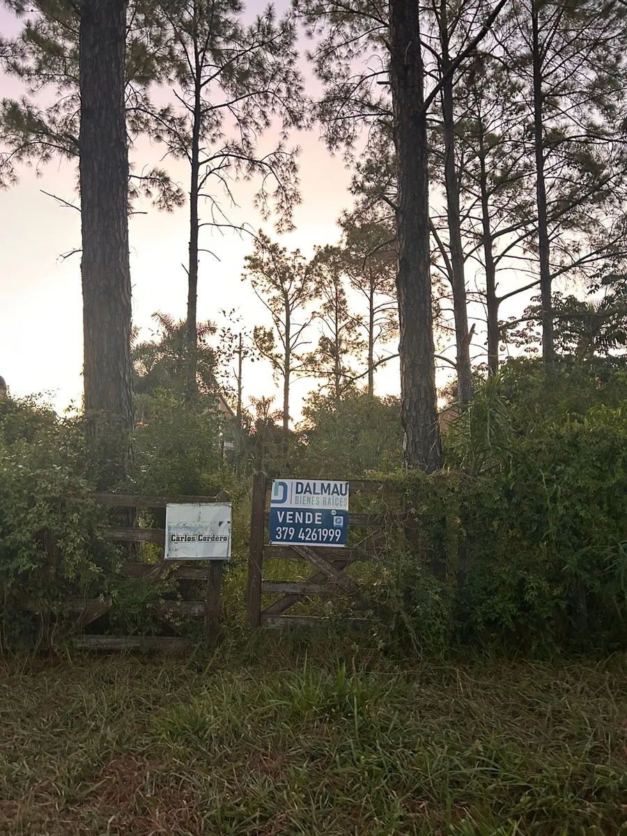 WhatsApp Image 2026-03-19 at 11.34.55 AM.webp