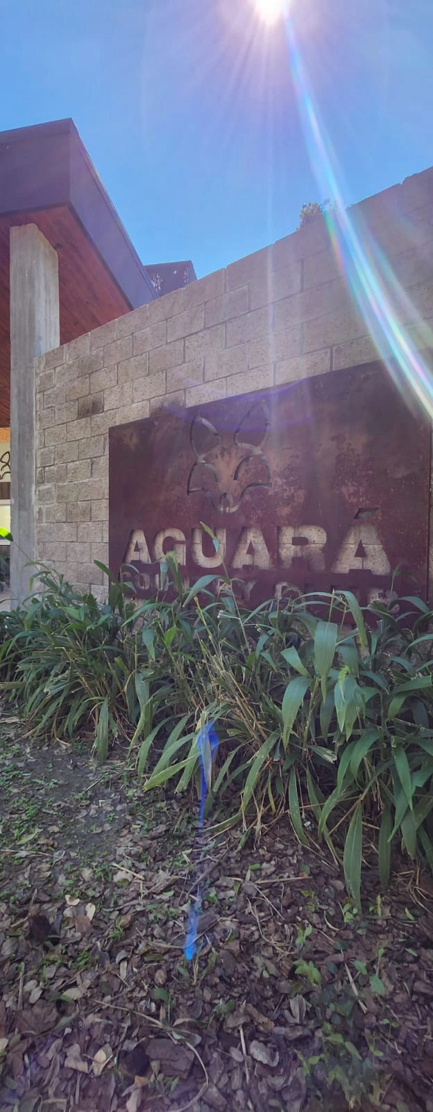 WhatsApp Image 2024-08-27 at 8.57.52 AM (2).webp