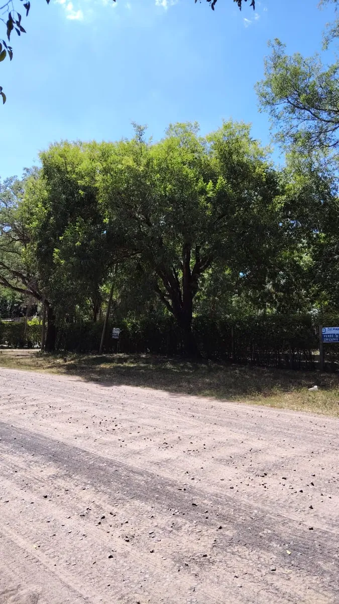 WhatsApp Image 2025-03-21 at 10.55.48 AM (2).webp