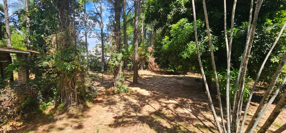 WhatsApp Image 2026-03-13 at 19.21.51 (4).webp