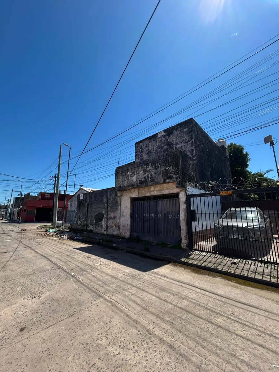 WhatsApp Image 2025-09-26 at 12.53.06.webp