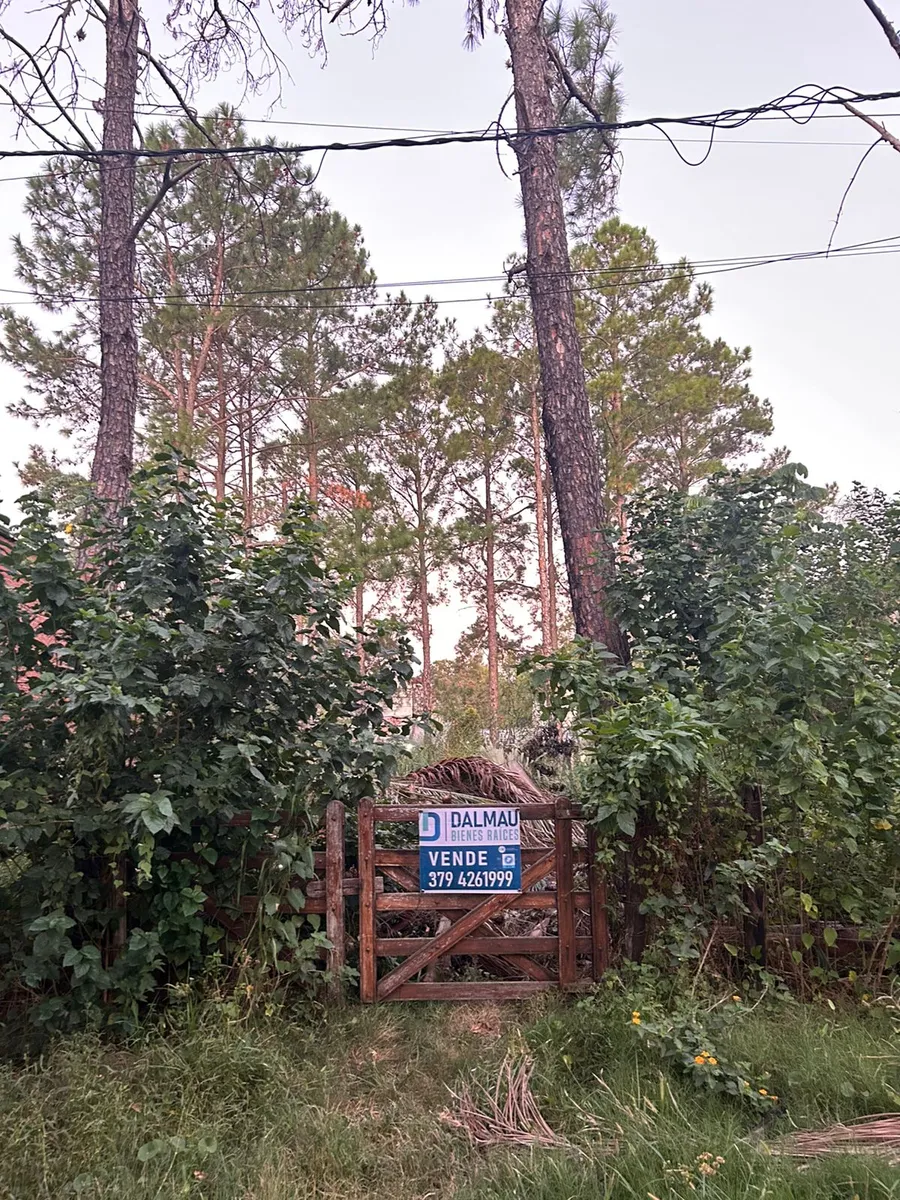 WhatsApp Image 2026-03-19 at 11.34.56 AM (1).webp