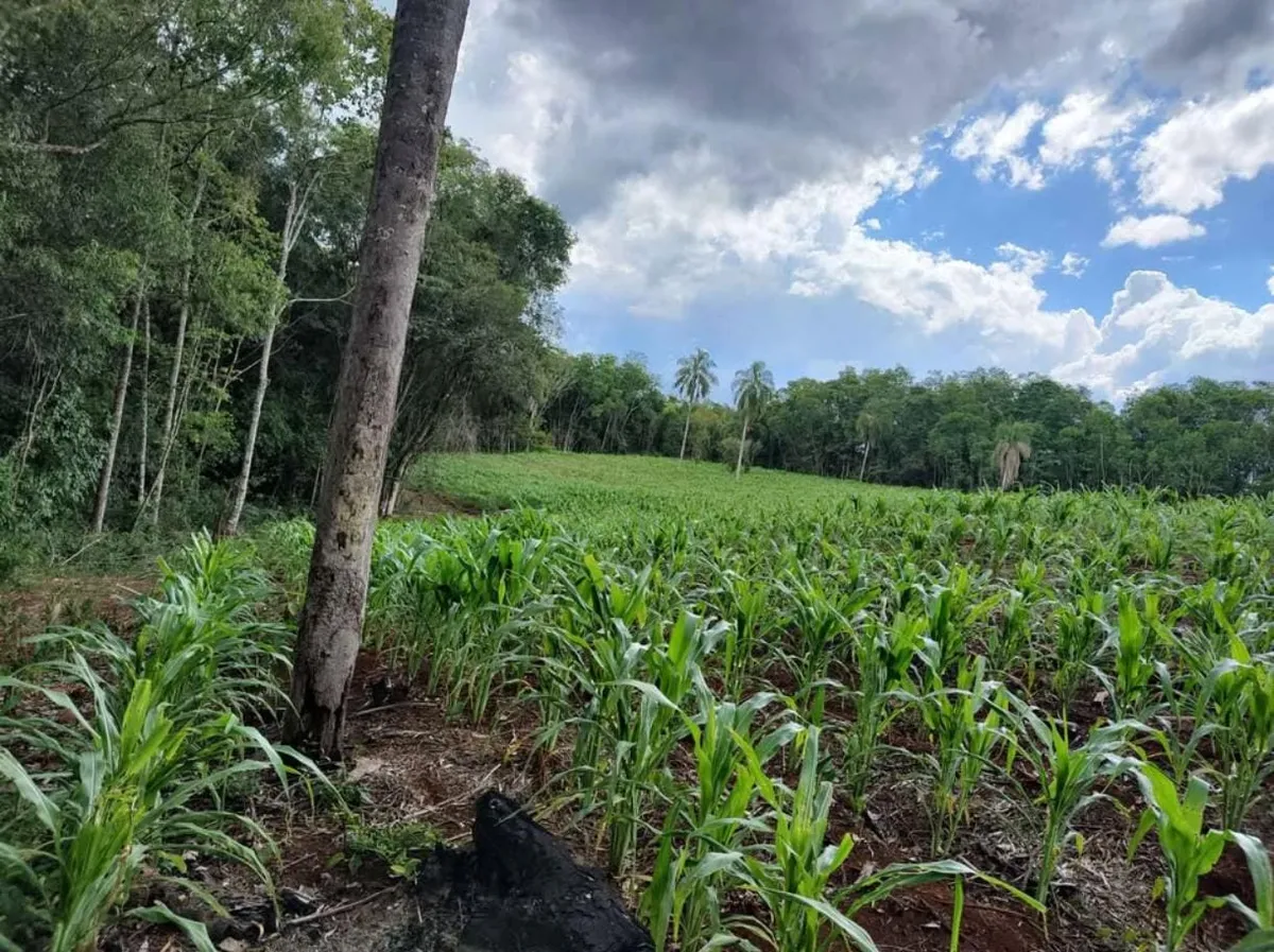 WhatsApp Image 2025-03-25 at 4.05.09 PM.webp