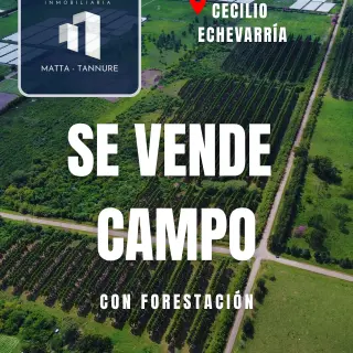 CAMPO CON FORESTACION MUY BIEN UBICADO