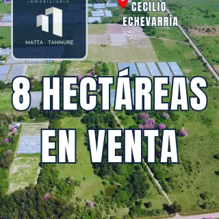 CAMPO CECILIO ECHEVARRIA