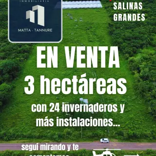 CAMPO EN SALINAS GRANDE