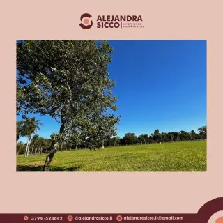 Arandu - Lotes - Venta