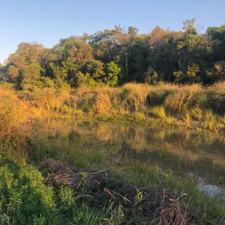 LOTES DISPONIBLES - LOS LAGOS