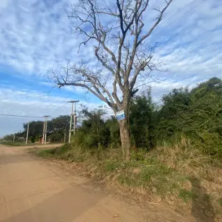 VENTA LOTES SOBRE CALLE SANTA CRUZ