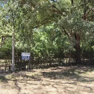 Terrenos en el Perichón