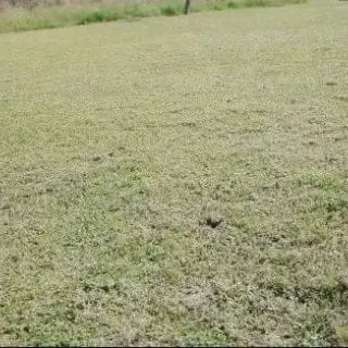 VENTA LOTE EN RIACHUELO